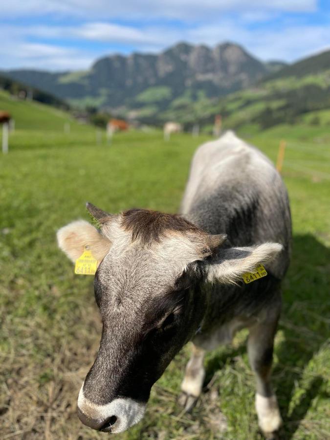 Alpbachtraum *