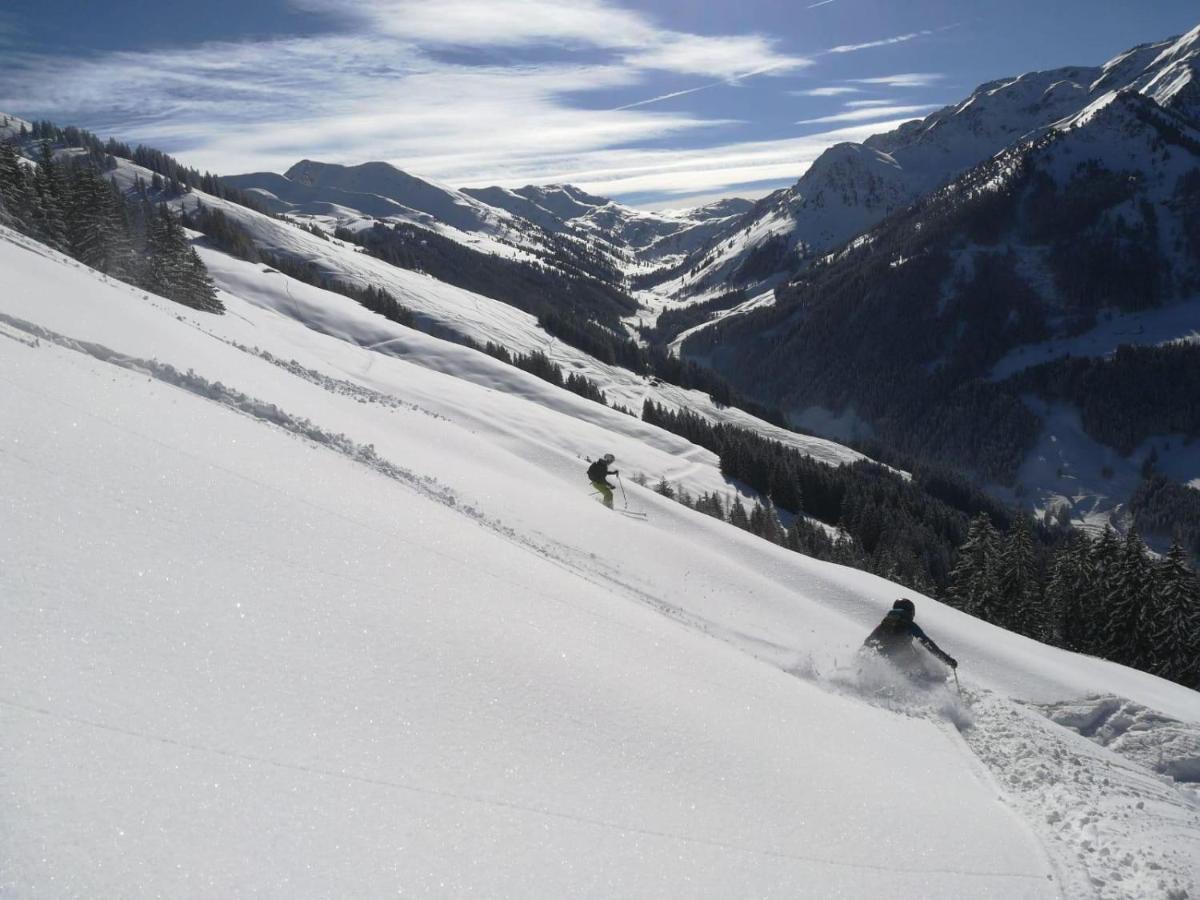 Appartement Alpbachtraum *