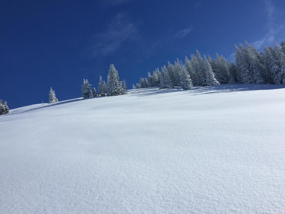 Alpbachtraum Appartement *