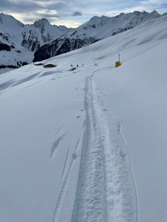 Alpbachtraum * Alpbach