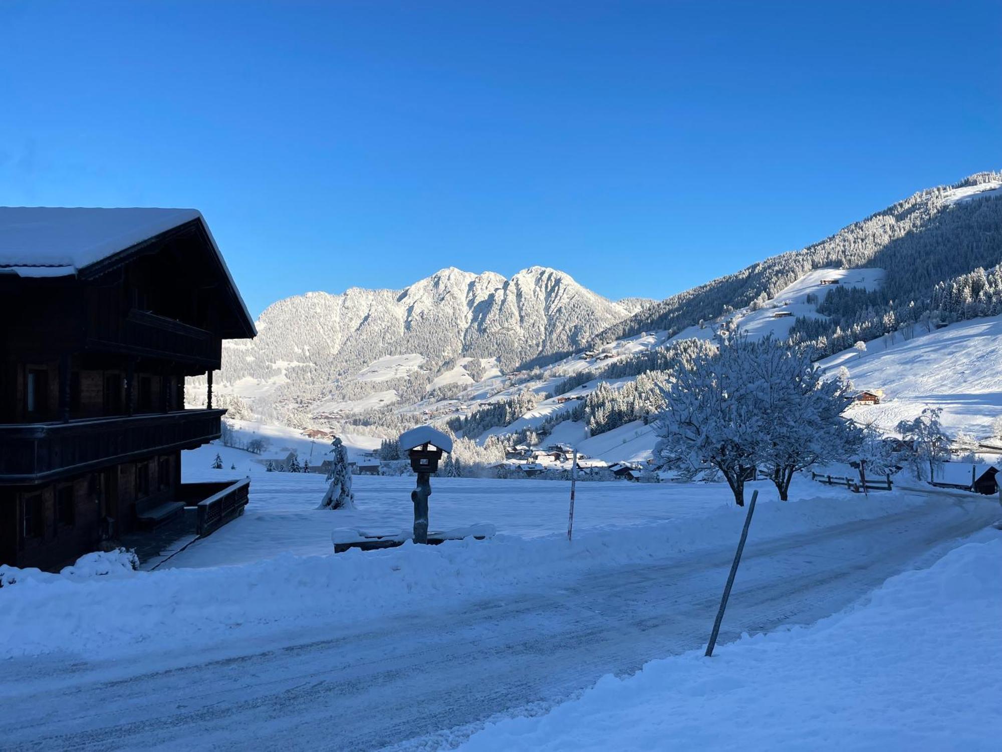 Alpbachtraum