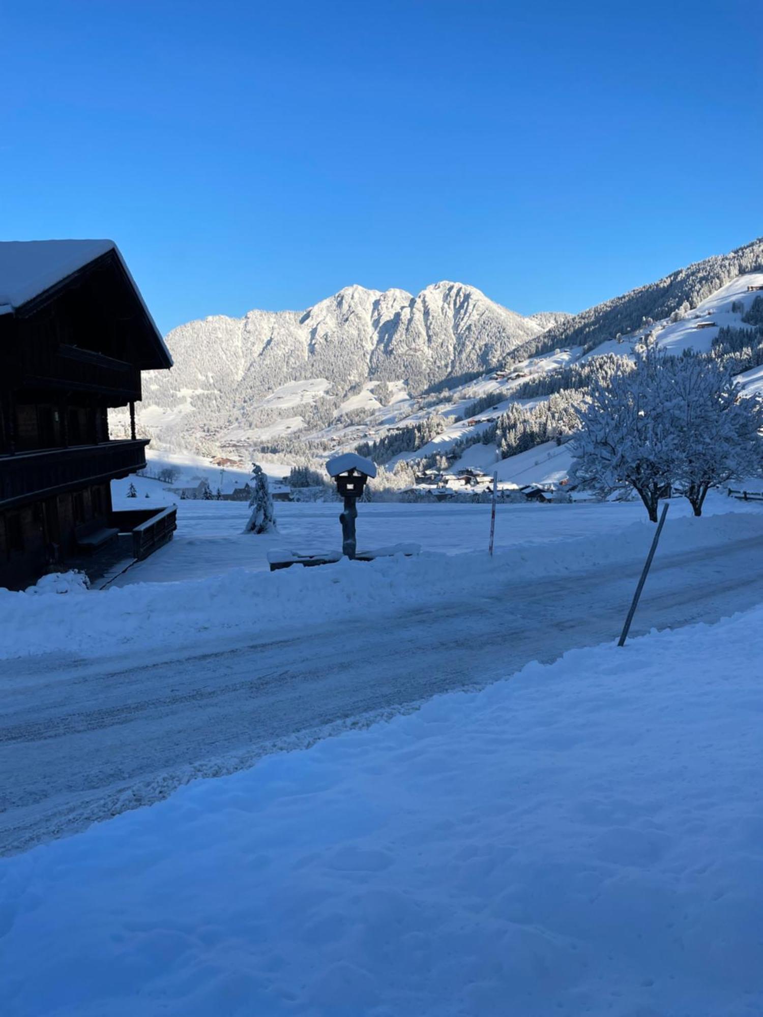 Alpbachtraum * Alpbach