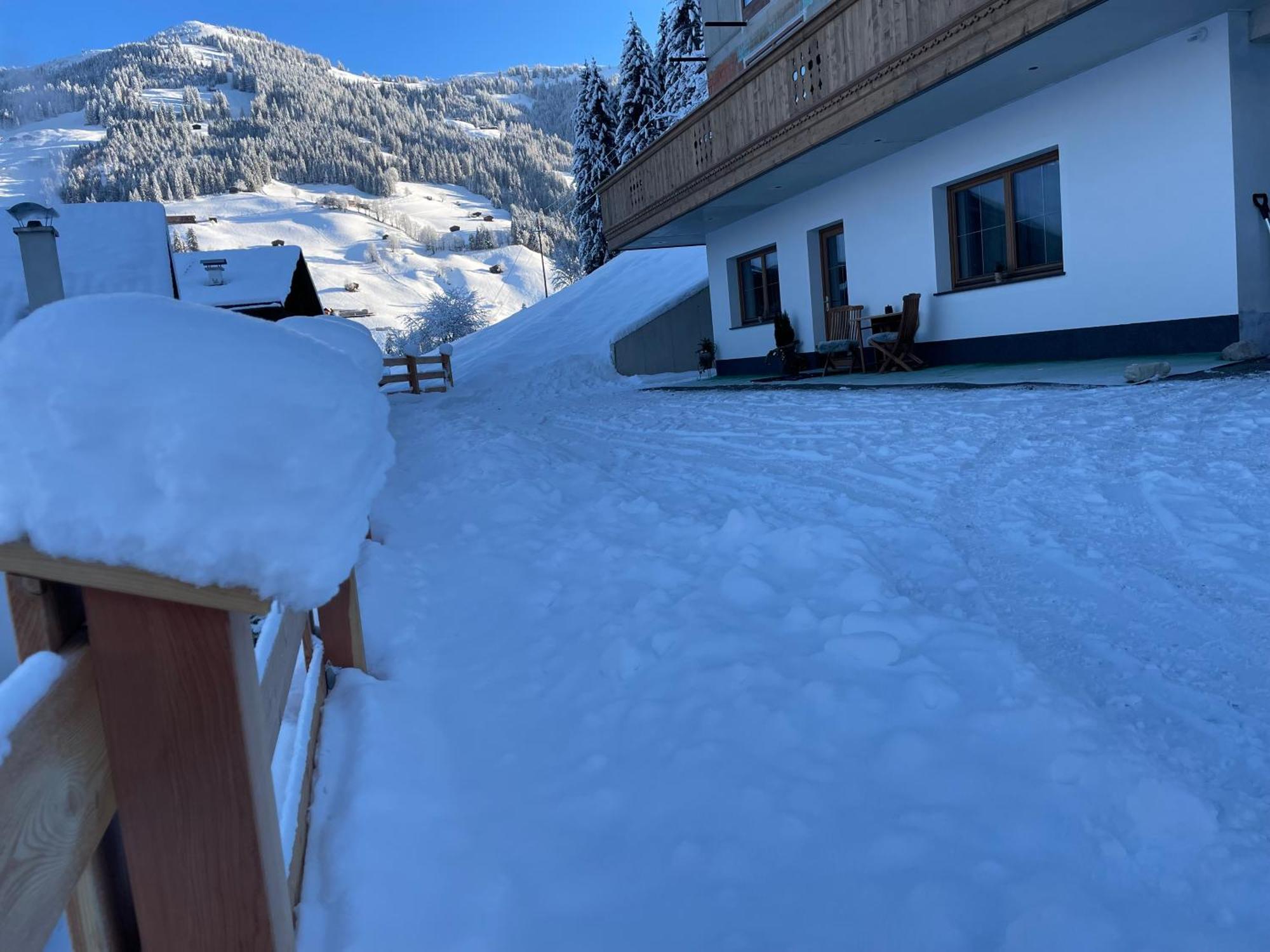 Alpbachtraum * Alpbach