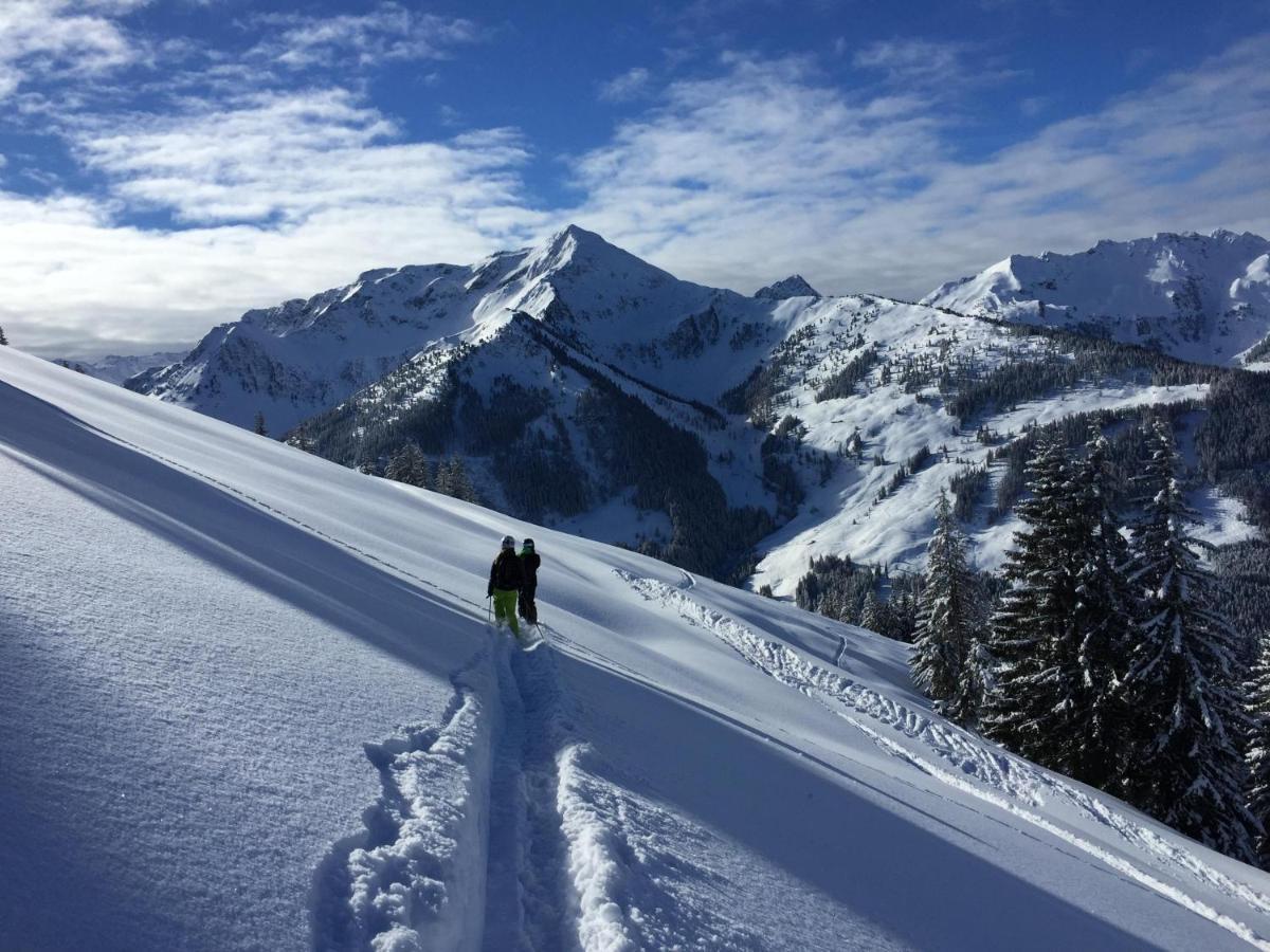 Alpbachtraum * Alpbach